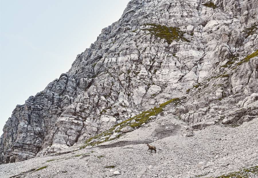 Summiteer? - Burg Hotel Oberlech